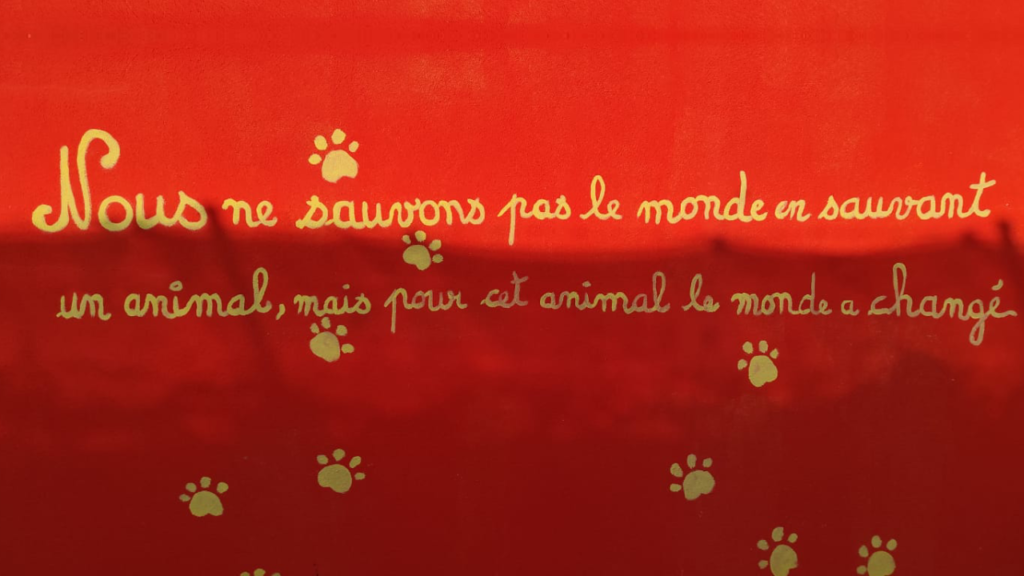 Nous ne sauvons le monde en sauvant un animal, mais pour cet animal, le monde a changé