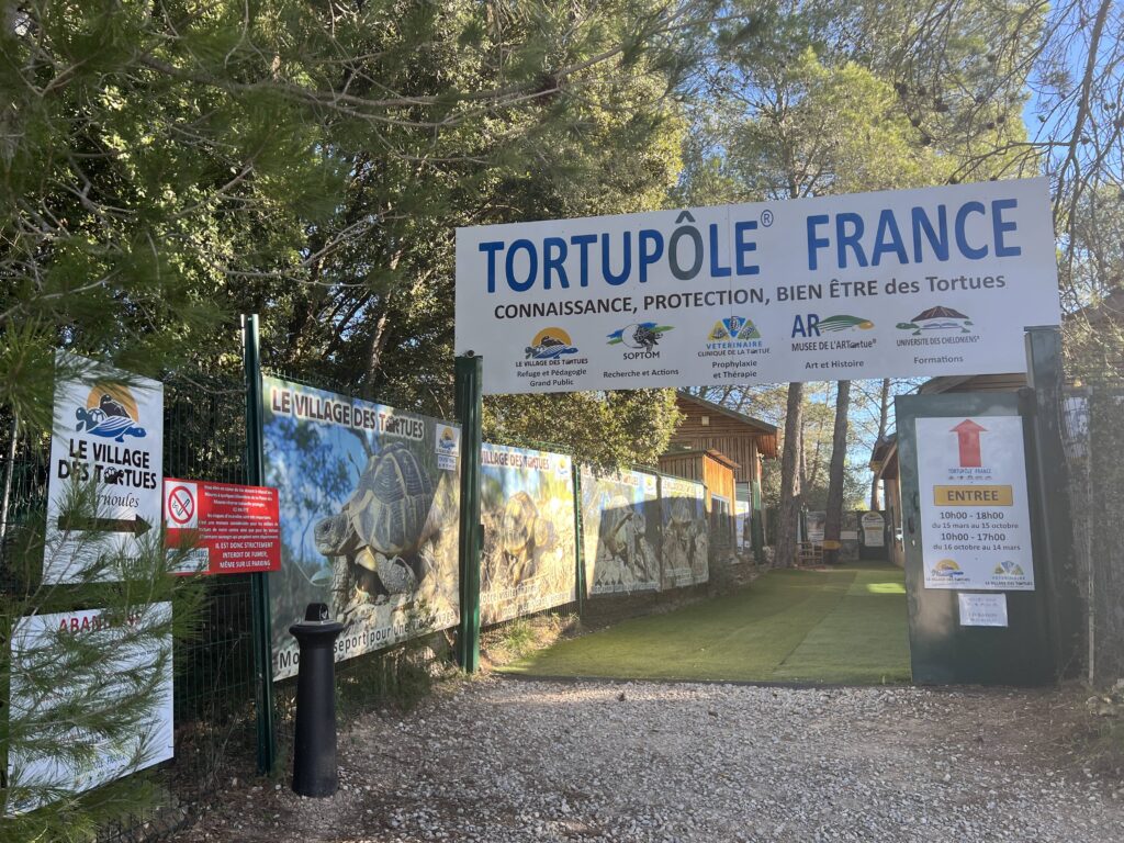 Tortupole